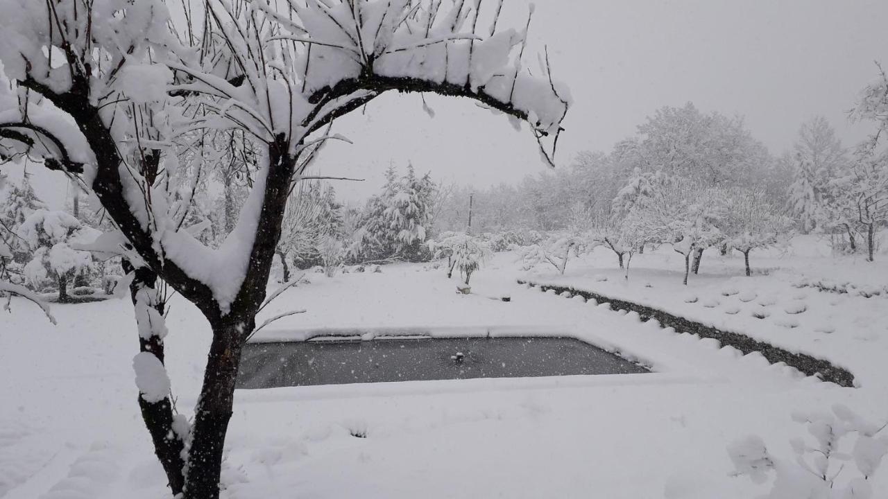 Masseria Boutique B&B Montella Εξωτερικό φωτογραφία