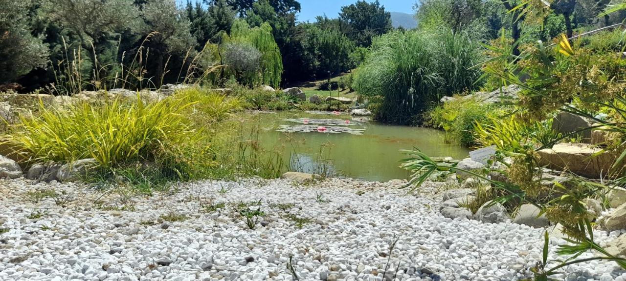 Masseria Boutique B&B Montella Εξωτερικό φωτογραφία