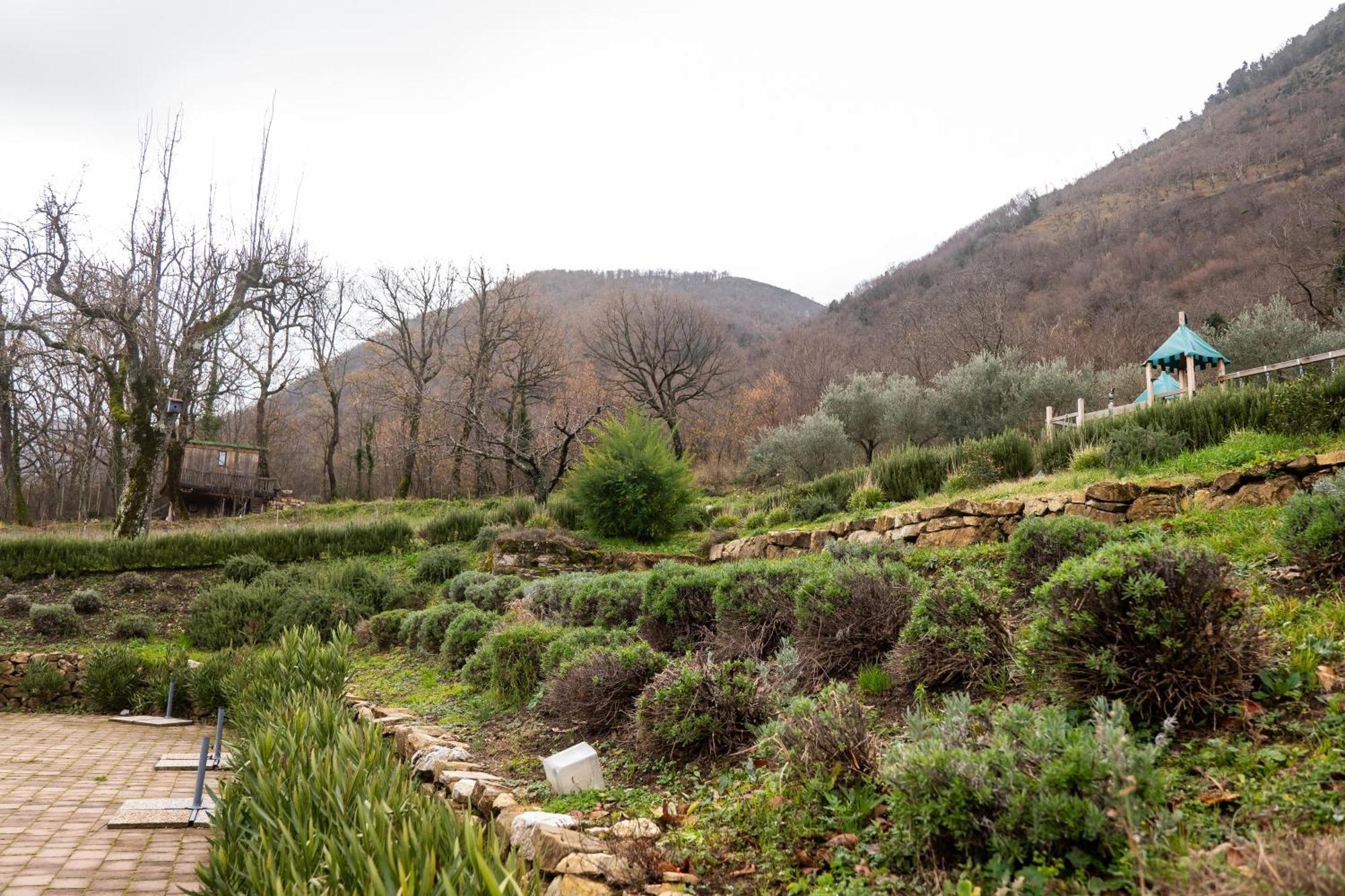 Masseria Boutique B&B Montella Εξωτερικό φωτογραφία