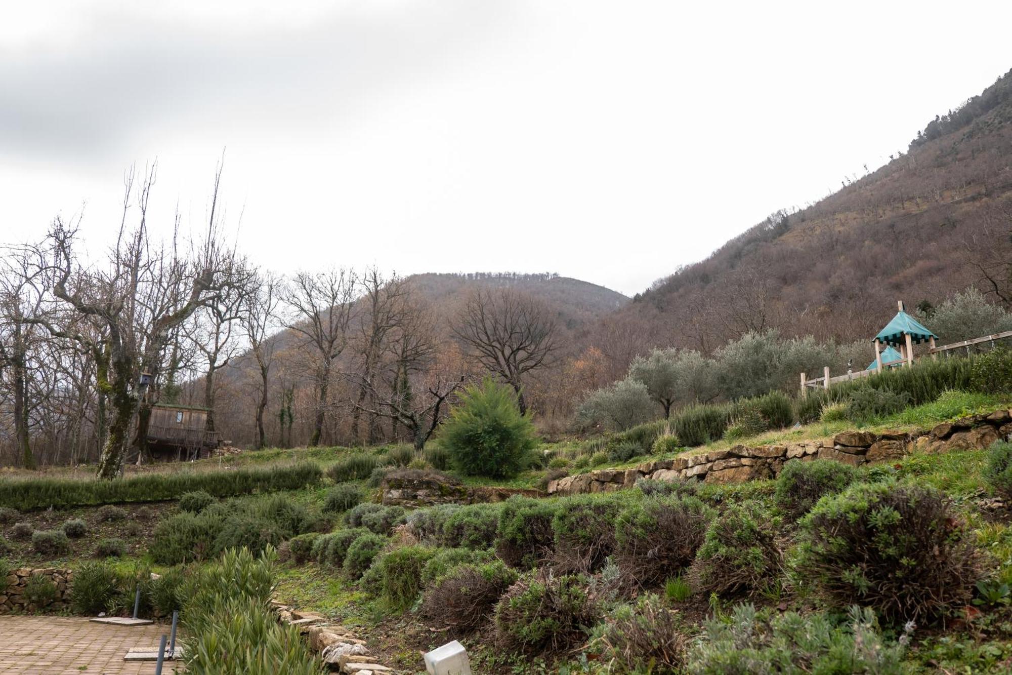 Masseria Boutique B&B Montella Εξωτερικό φωτογραφία
